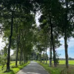 7- HeroicHills RLLY Afbeelding