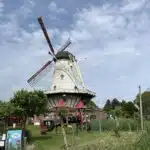 SchouwenSchelpen RLLY Afbeelding
