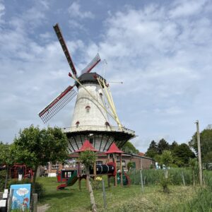 SchouwenSchelpenRLLY