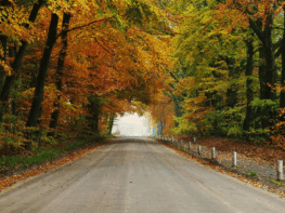 Veluwe-autoroute