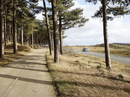 Car puzzle tour Brabant
