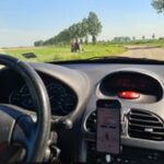 Zeeuws-Vlaanderen RLLY Afbeelding