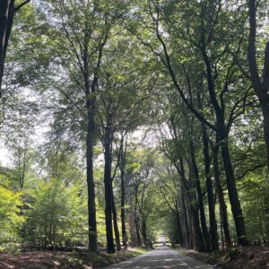 autospeurtochtVeluwe