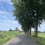 KickenKempen RLLY Afbeelding