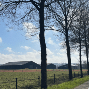 Vechtdal_puzzeltocht